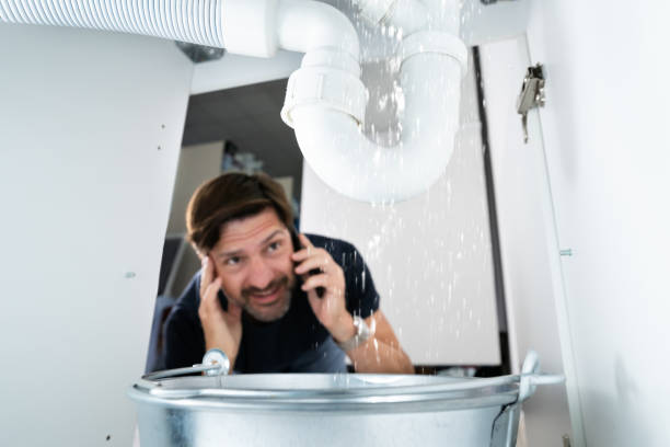 Best Leak Detection Services  in Seymour, IN