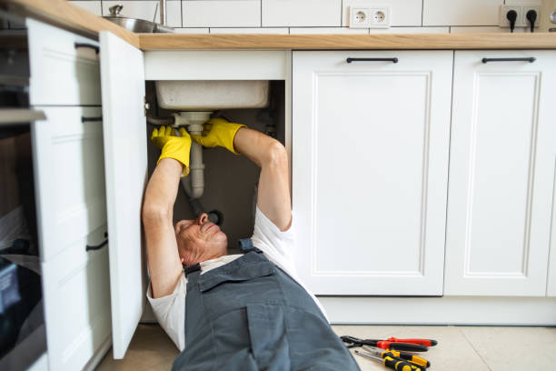 Best Plumbing Repair Near Me  in Seymour, IN