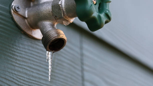 Best Clogged Drain Plumber  in Seymour, IN